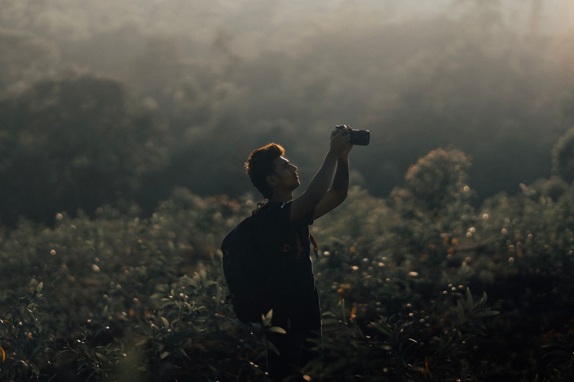 Silhouette of a photographer capturing the scenic meadow during the golden hour.